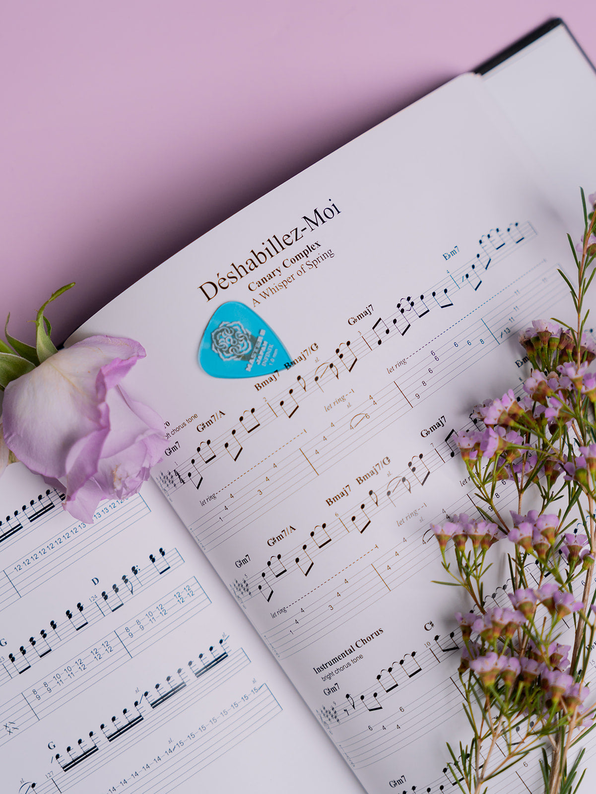 'An Echo of Winter' Keepsake Edition Coffee Table Book